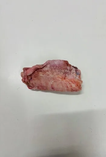 Turkey Wings / Puten Pflügel Karton