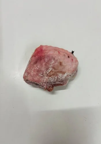 Turkkey Back / Puten Sterze Karton