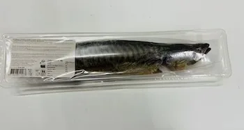 Smoke Mackerel