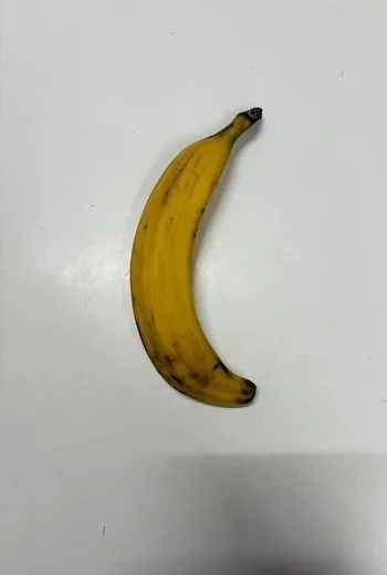 Plantain Yellow Karton