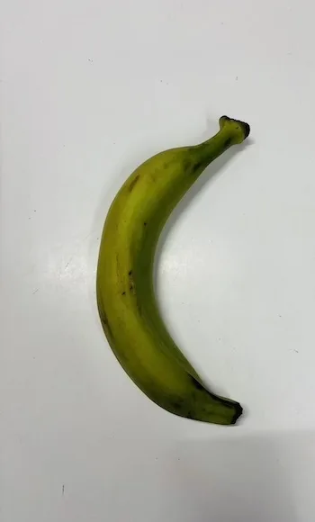 Plantain Green Karton